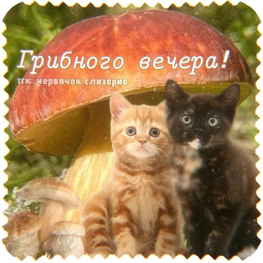  – стикер для Telegram