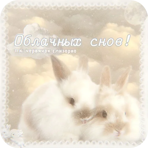  – стикер для Telegram