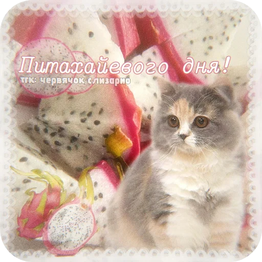  – стикер для Telegram