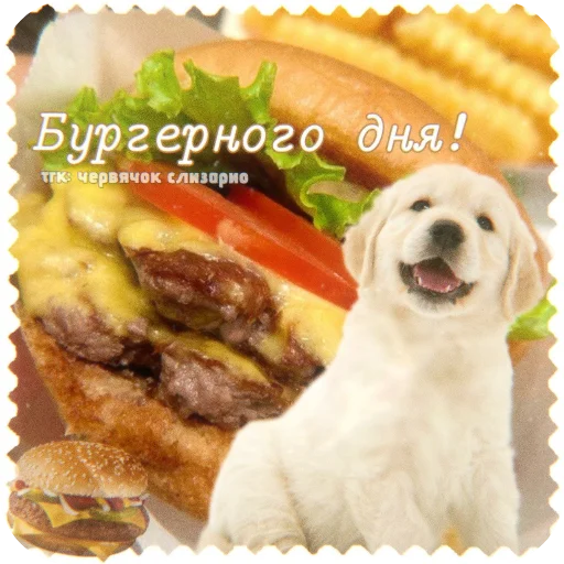  – стикер для Telegram