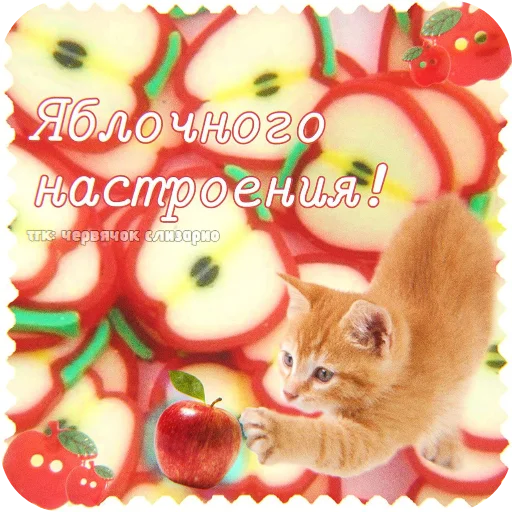  – стикер для Telegram
