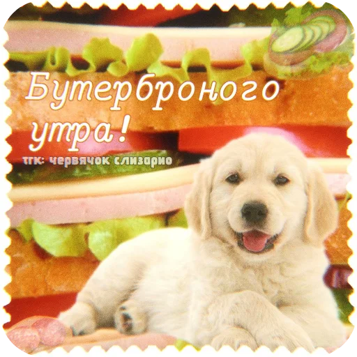  – стикер для Telegram
