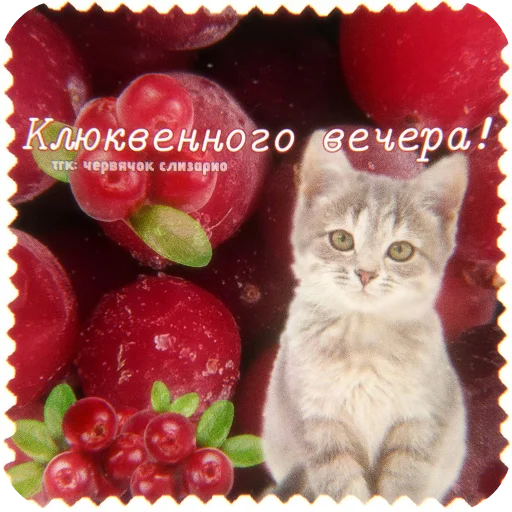  – стикер для Telegram