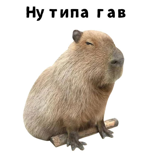  – стикер для Telegram