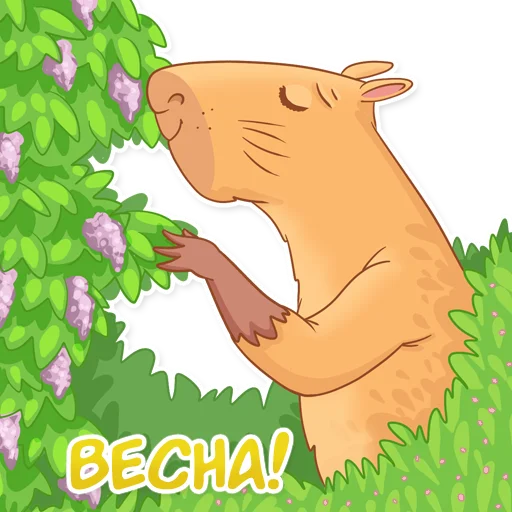  – стикер для Telegram