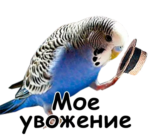  – стикер для Telegram