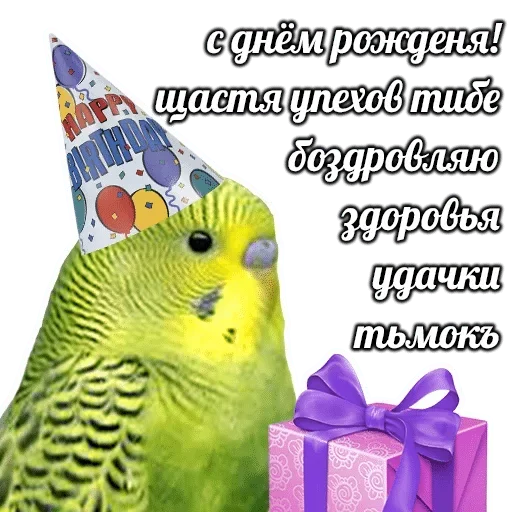  – стикер для Telegram