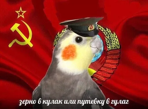  – стикер для Telegram