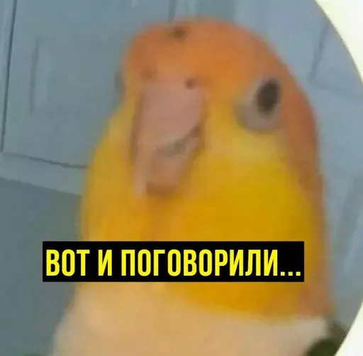  – стикер для Telegram