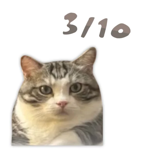  – стикер для Telegram