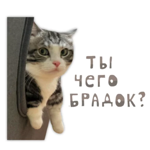 – стикер для Telegram