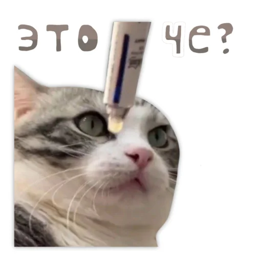  – стикер для Telegram