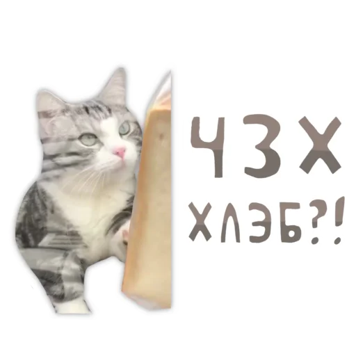 – стикер для Telegram