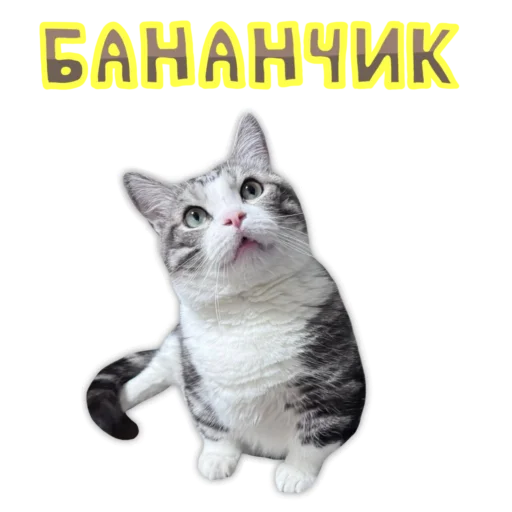  – стикер для Telegram