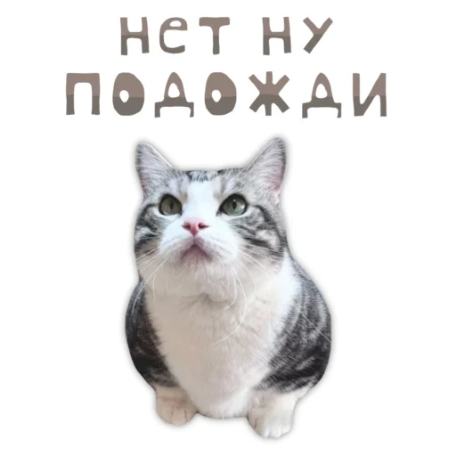  – стикер для Telegram