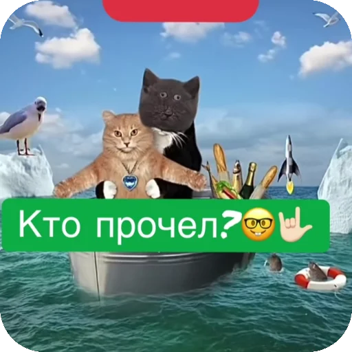  – стикер для Telegram