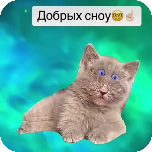  – стикер для Telegram