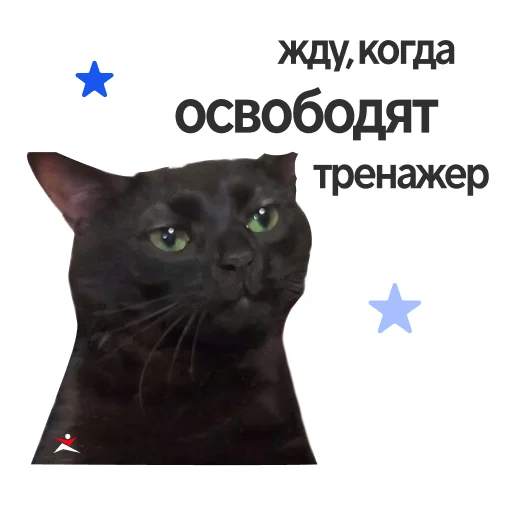  – стикер для Telegram