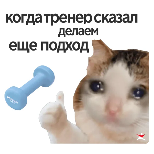  – стикер для Telegram