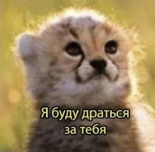  – стикер для Telegram