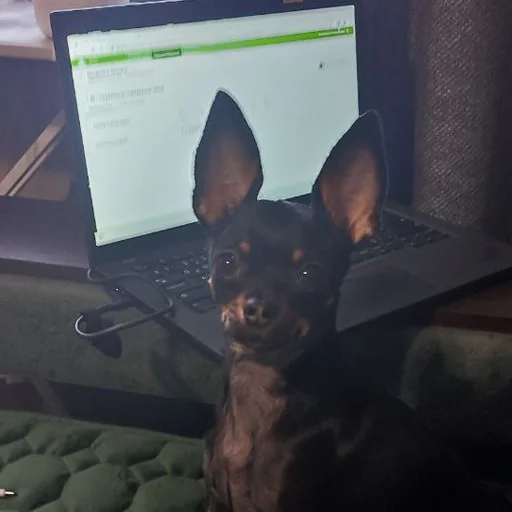  – стикер для Telegram