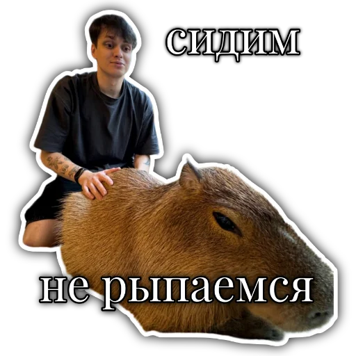  – стикер для Telegram