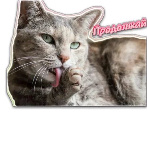  – стикер для Telegram