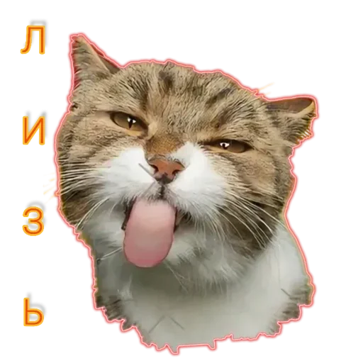  – стикер для Telegram