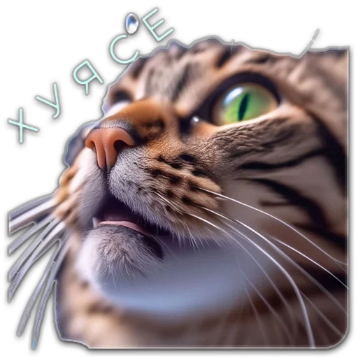  – стикер для Telegram