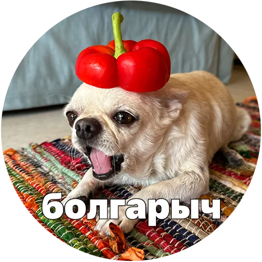 – стикер для Telegram