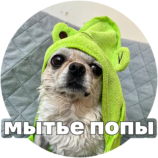  – стикер для Telegram