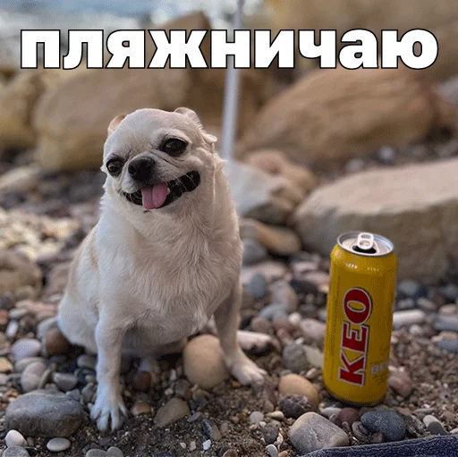  – стикер для Telegram