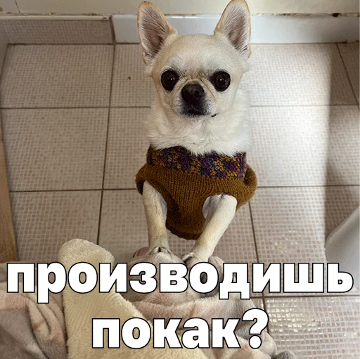  – стикер для Telegram