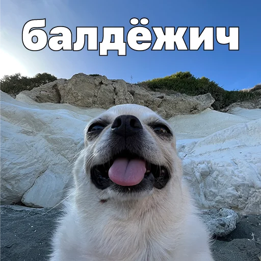  – стикер для Telegram