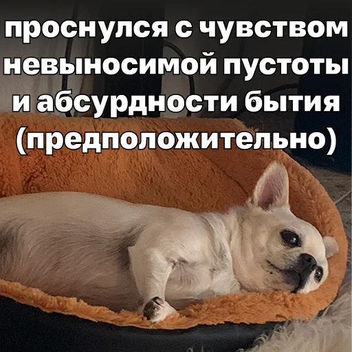  – стикер для Telegram