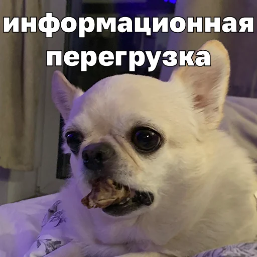  – стикер для Telegram