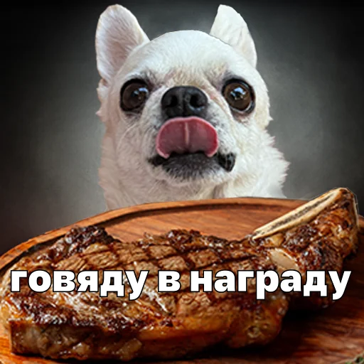  – стикер для Telegram