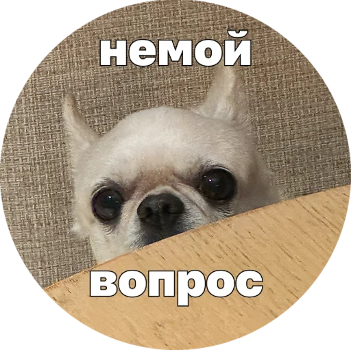  – стикер для Telegram