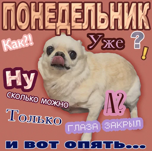  – стикер для Telegram