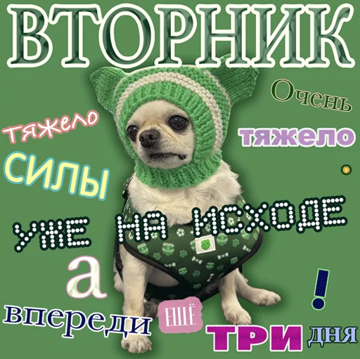  – стикер для Telegram