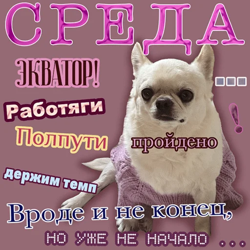  – стикер для Telegram