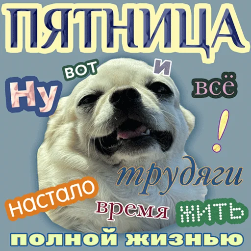  – стикер для Telegram