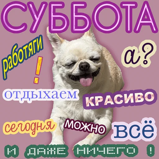  – стикер для Telegram