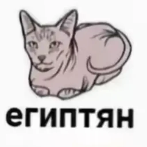 – стикер для Telegram