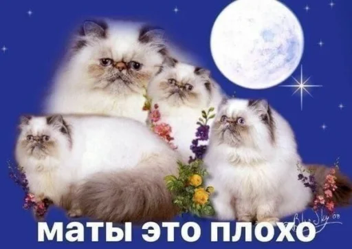  – стикер для Telegram