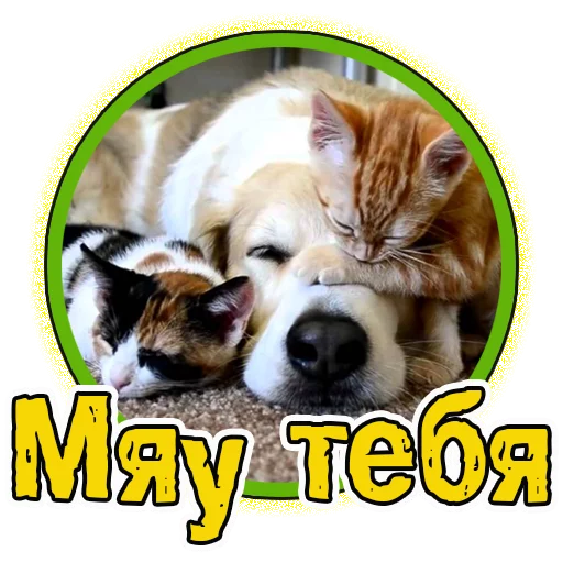  – стикер для Telegram