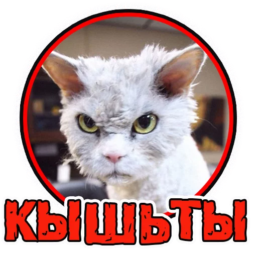  – стикер для Telegram