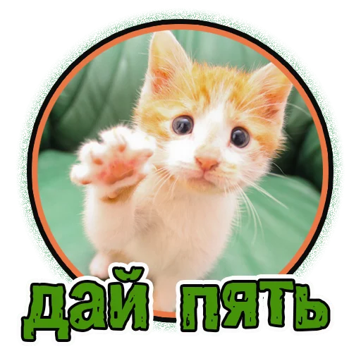  – стикер для Telegram