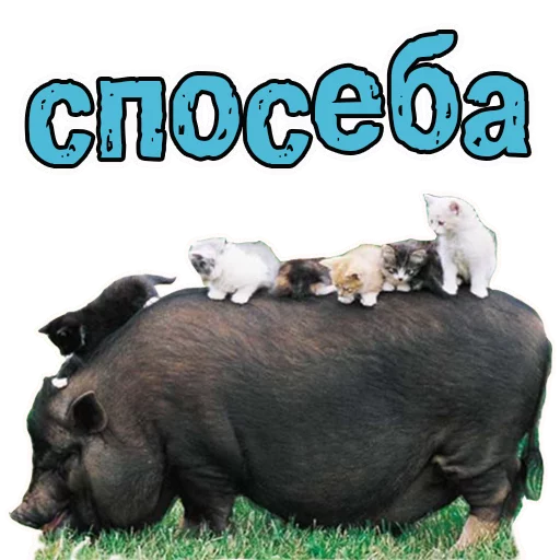  – стикер для Telegram