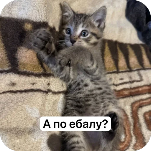  – стикер для Telegram
